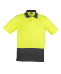 ZH231 Product Yellow Charcoal 01