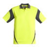 ZH248 Product Yellow Charcoal 01